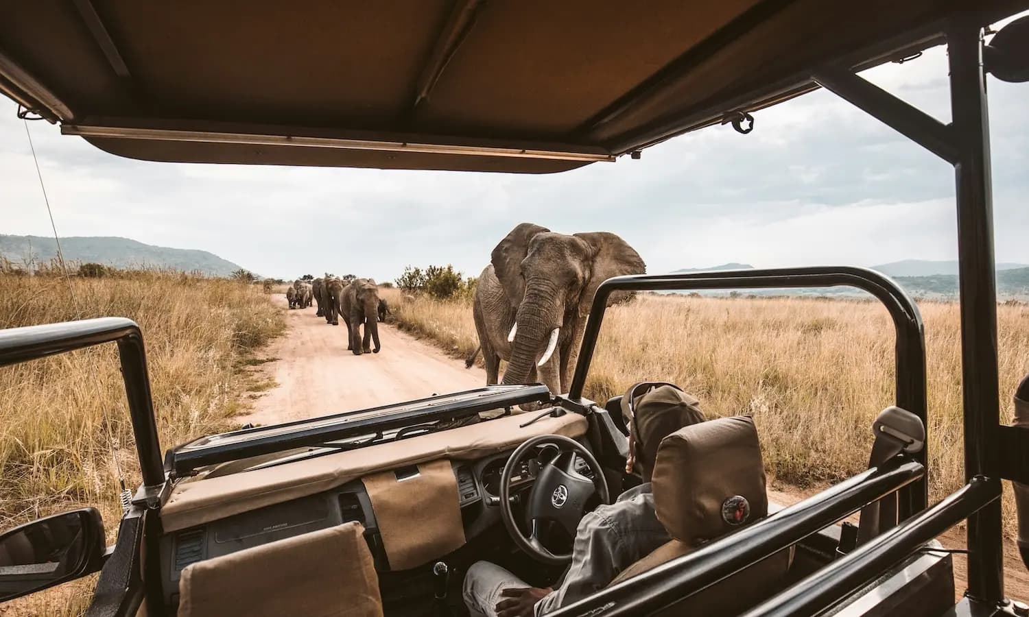 AFRICA: CAPE TOWN TO BOTSWANA SAFARI